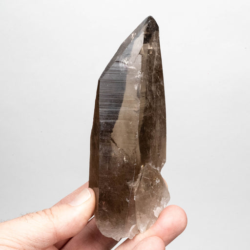 Smoky Lemurian Seed Crystal 262 g 127x41mm - InnerVision Crystals