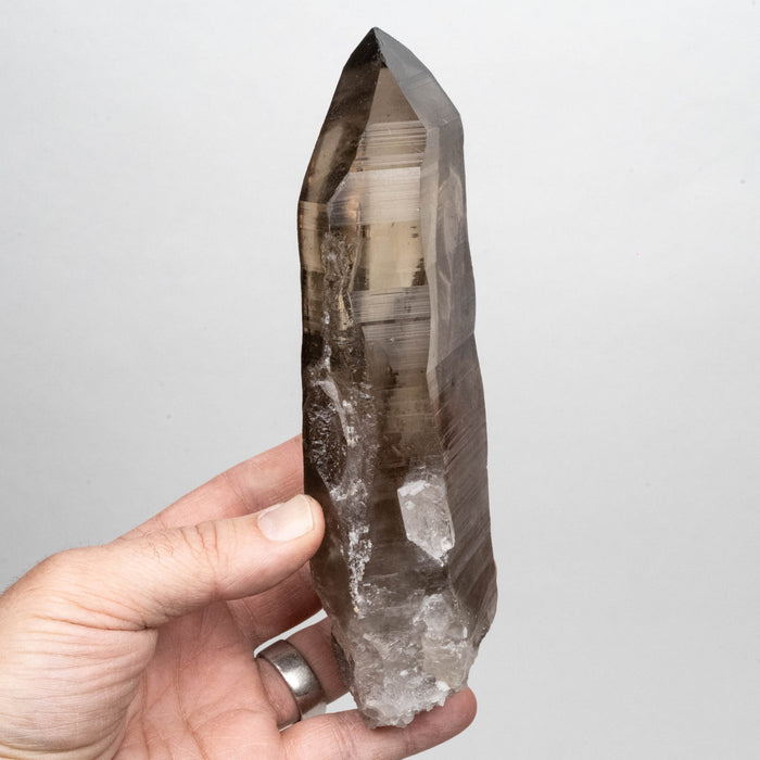 Smoky Lemurian Seed Crystal 680 DT g 186x63mm - InnerVision Crystals