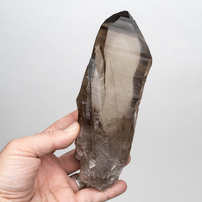 Smoky Lemurian Seed Crystal 680 DT g 186x63mm - InnerVision Crystals