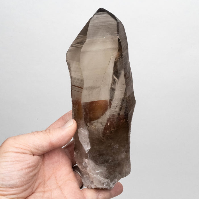 Smoky Lemurian Seed Crystal 680 DT g 186x63mm - InnerVision Crystals