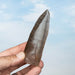 Smoky Lemurian Seed Quartz Crystal 123 g 109x33mm - InnerVision Crystals