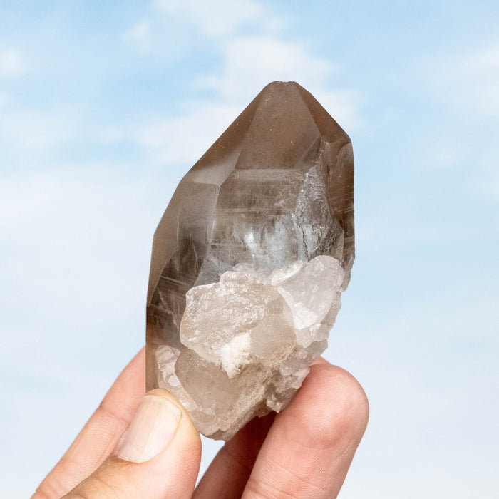 Smoky Lemurian Seed Quartz Crystal 140 g 73x48mm - InnerVision Crystals