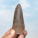 Smoky Lemurian Seed Quartz Crystal 149 g 93x43mm - InnerVision Crystals