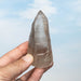 Smoky Lemurian Seed Quartz Crystal 149 g 93x43mm - InnerVision Crystals