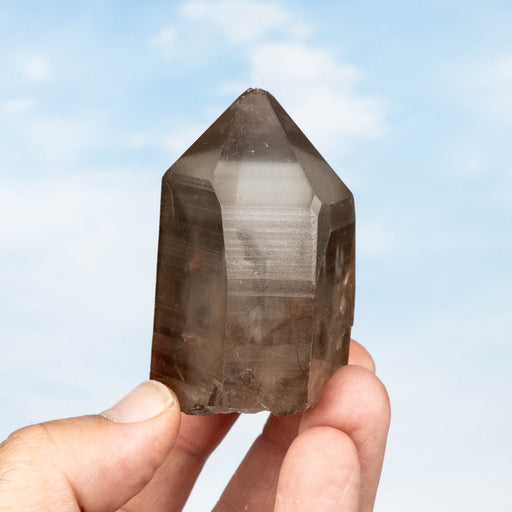 Smoky Lemurian Seed Quartz Crystal 160 g 66x46mm - InnerVision Crystals