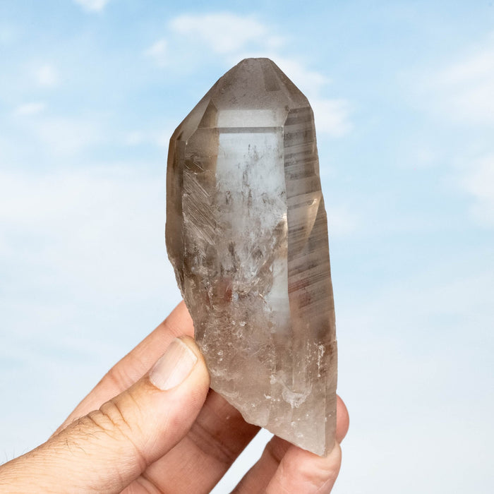 Smoky Lemurian Seed Quartz Crystal 244 g113x42mm - InnerVision Crystals