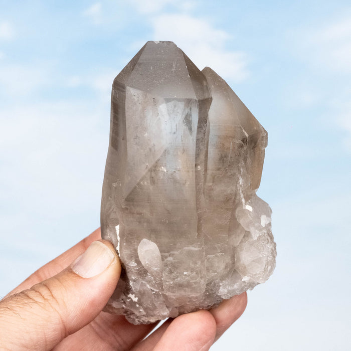 Smoky Lemurian Seed Quartz Crystal 300 g 104x62mm - InnerVision Crystals