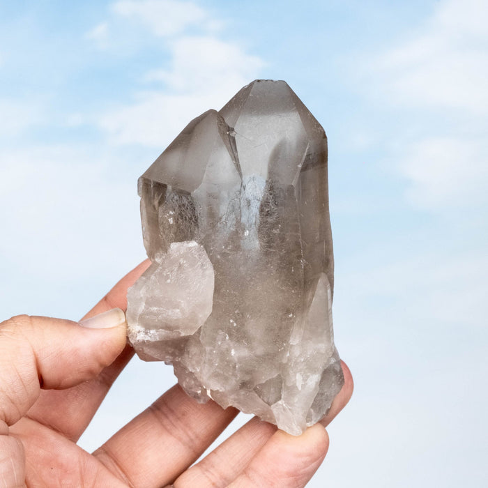 Smoky Lemurian Seed Quartz Crystal 300 g 104x62mm - InnerVision Crystals