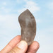 Smoky Lemurian Seed Quartz Crystal 73 g 69x37mm - InnerVision Crystals