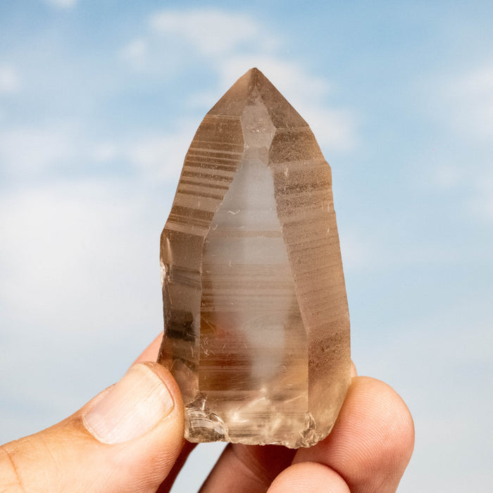 Smoky Lemurian Seed Quartz Crystal 75 g 59x34mm - InnerVision Crystals