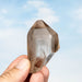 Smoky Lemurian Seed Quartz Crystal 93 g 58x44mm - InnerVision Crystals