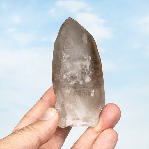 Smoky Lemurian Seed Quartz Crystal *DT 232 g 94x51mm - InnerVision Crystals