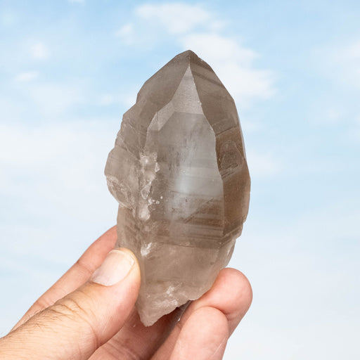 Smoky Lemurian Seed Quartz Crystal *DT 232 g 94x51mm - InnerVision Crystals