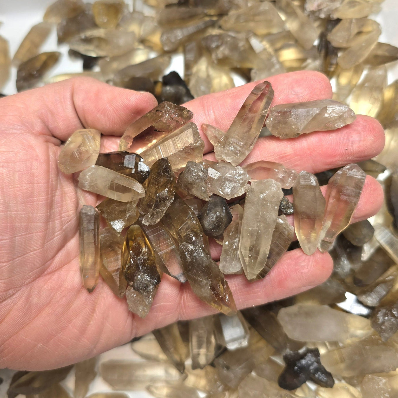 Smoky Lemurian Seed Tessin / Laser Crystals 1.30 KG WHOLESALE LOT - InnerVision Crystals