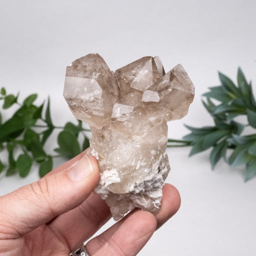 Smoky Quartz Crystal Elestial 260 g 94x67mm - InnerVision Crystals
