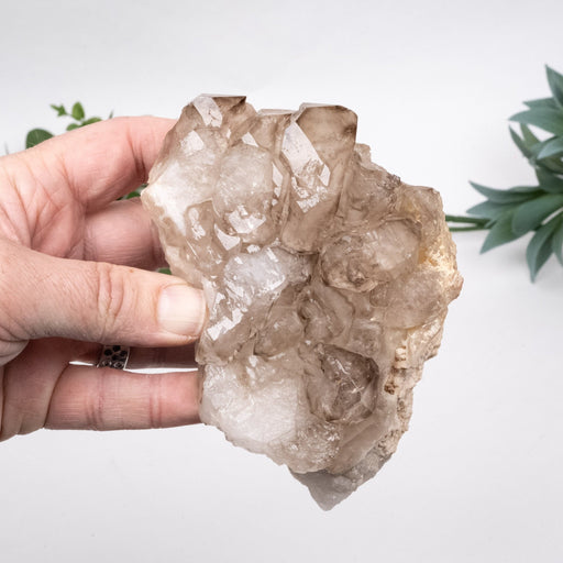 Smoky Quartz Crystal Elestial 796 g 125x94mm - InnerVision Crystals