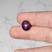 Star Ruby 10.85 ct 13x11mm - InnerVision Crystals