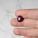 Star Ruby 12.30 ct 13x10mm - InnerVision Crystals
