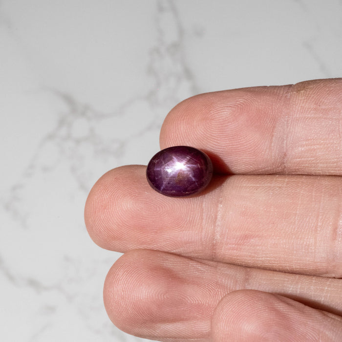 Star Ruby 12.30 ct 13x10mm - InnerVision Crystals