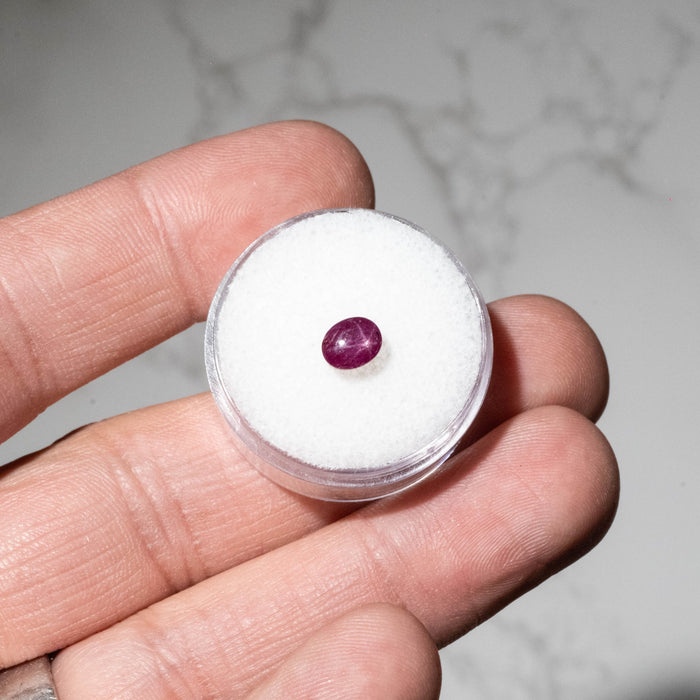 Star Ruby 1.40 ct 6x4mm - InnerVision Crystals