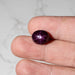 Star Ruby 14.35 ct 13x11mm - InnerVision Crystals