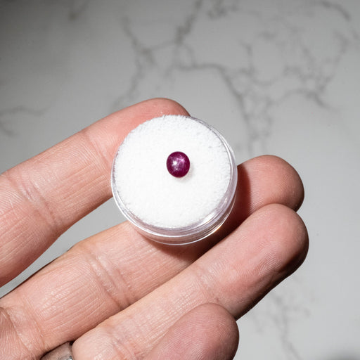 Star Ruby 1.50 ct 6x4mm - InnerVision Crystals