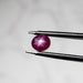 Star Ruby 1.50 ct 6x4mm - InnerVision Crystals