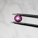Star Ruby 1.50 ct 6x5mm - InnerVision Crystals