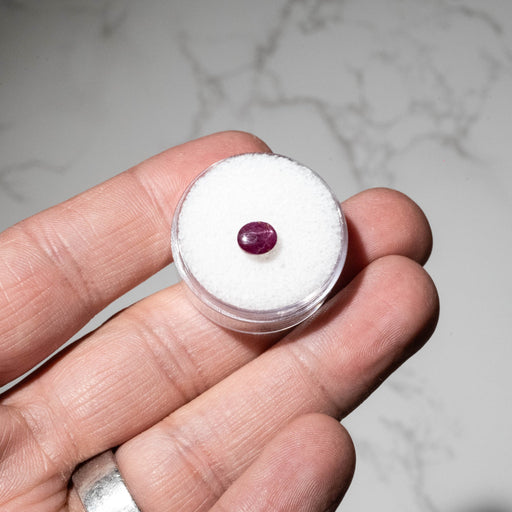 Star Ruby 1.50 ct 6x5mm - InnerVision Crystals