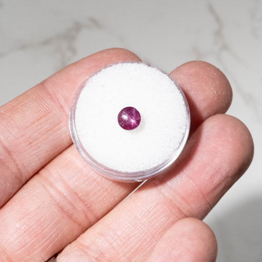 Star Ruby 1.60 ct 5.5mm - InnerVision Crystals