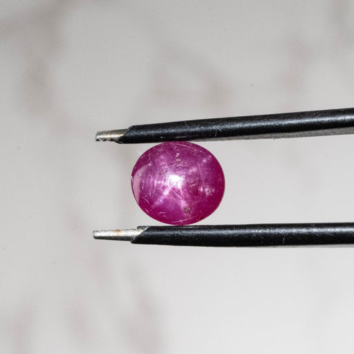 Star Ruby 1.65 ct 7.5x6mm - InnerVision Crystals