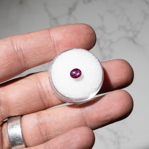 Star Ruby 1.70 ct 6x5mm - InnerVision Crystals