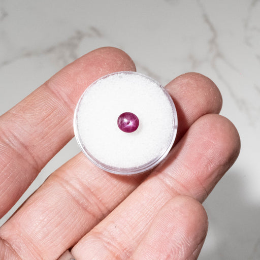 Star Ruby 1.80 ct 6x5.5mm - InnerVision Crystals