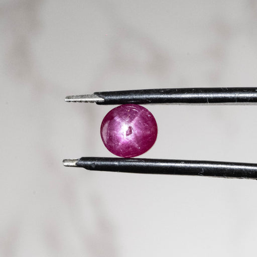 Star Ruby 1.80 ct 6x5.5mm - InnerVision Crystals