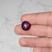 Star Ruby 19.80 ct 15x13mm - InnerVision Crystals