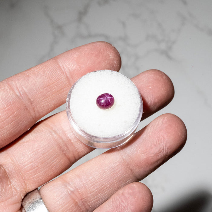 Star Ruby 2.05 ct 7x6mm - InnerVision Crystals