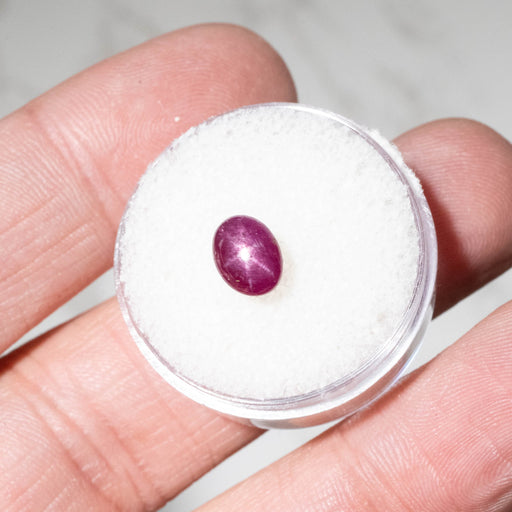 Star Ruby 2.35 ct 7x6mm - InnerVision Crystals