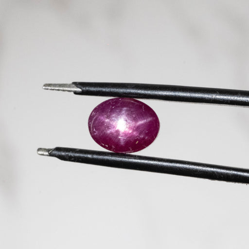 Star Ruby 2.35 ct 7x6mm - InnerVision Crystals