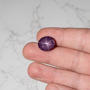Star Ruby 24.25 ct 16x13mm - InnerVision Crystals