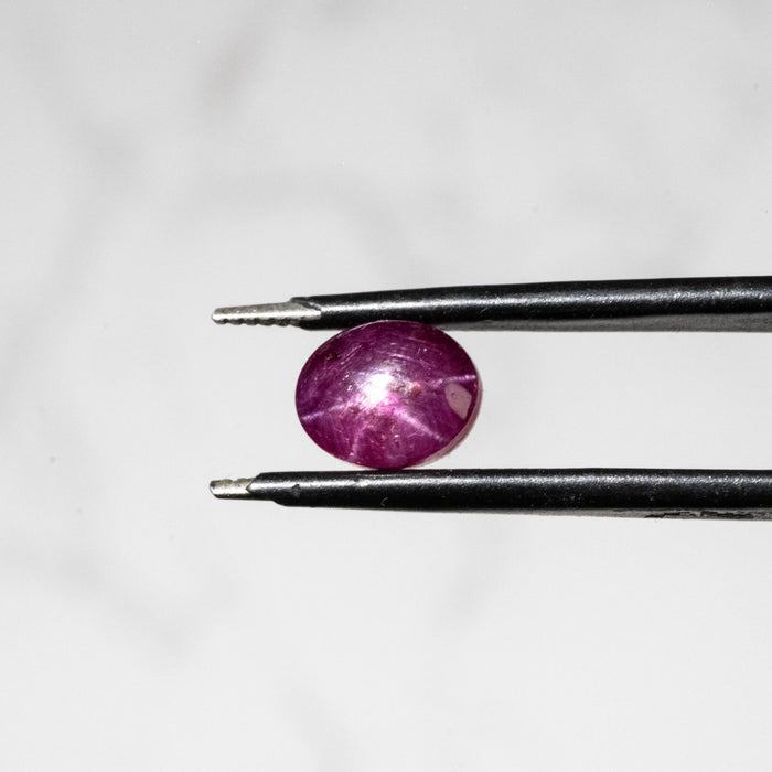 Star Ruby 2.50 ct 7x6mm - InnerVision Crystals
