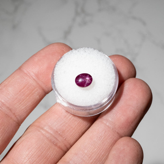 Star Ruby 2.50 ct 7x6mm - InnerVision Crystals