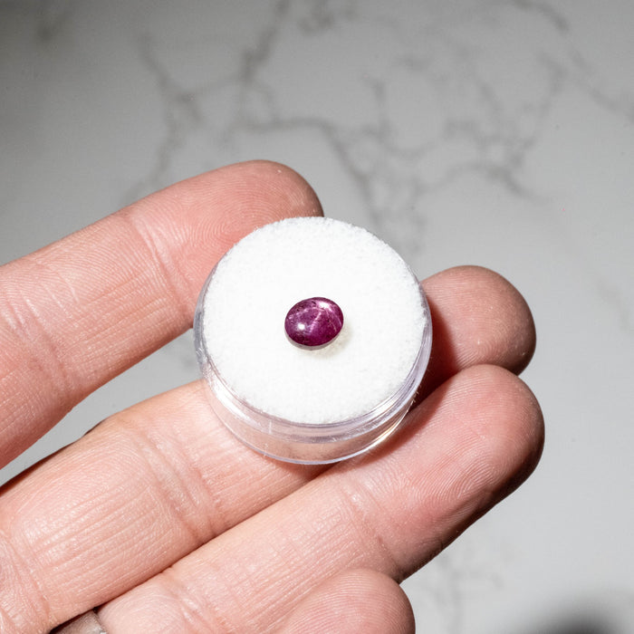 Star Ruby 2.60 ct 7x6mm - InnerVision Crystals