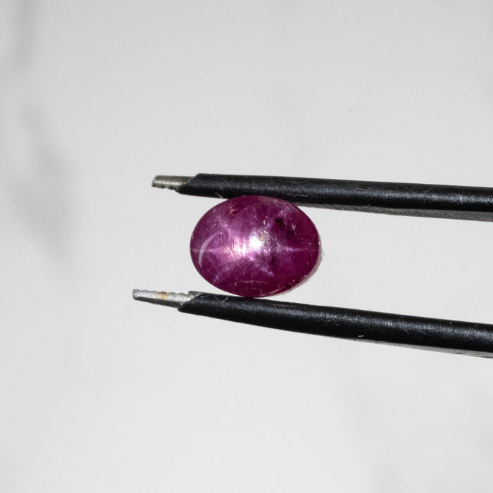 Star Ruby 2.70 ct 7x6mm - InnerVision Crystals