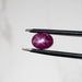 Star Ruby 2.70 ct 7x6mm - InnerVision Crystals