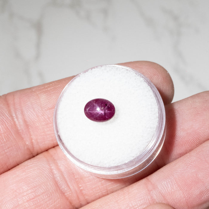 Star Ruby 2.70 ct 7x6mm - InnerVision Crystals