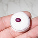 Star Ruby 2.70 ct 7x6mm - InnerVision Crystals