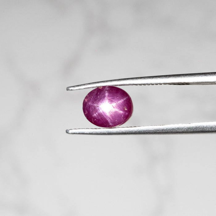 Star Ruby 3.70 ct 7x6mm - InnerVision Crystals