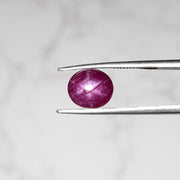 Star Ruby 3.90 ct 9x7mm - InnerVision Crystals