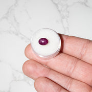 Star Ruby 4.70 ct 9x7mm - InnerVision Crystals