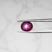 Star Ruby 5.05 ct 8x7mm - InnerVision Crystals